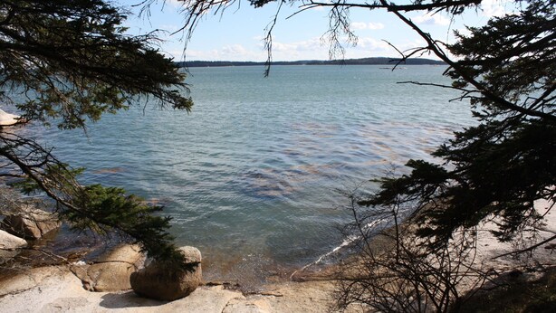 Un paysage naturel comprenant une étendue d’eau, une côte rocheuse et des arbres.