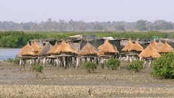 Vlak bij het strand