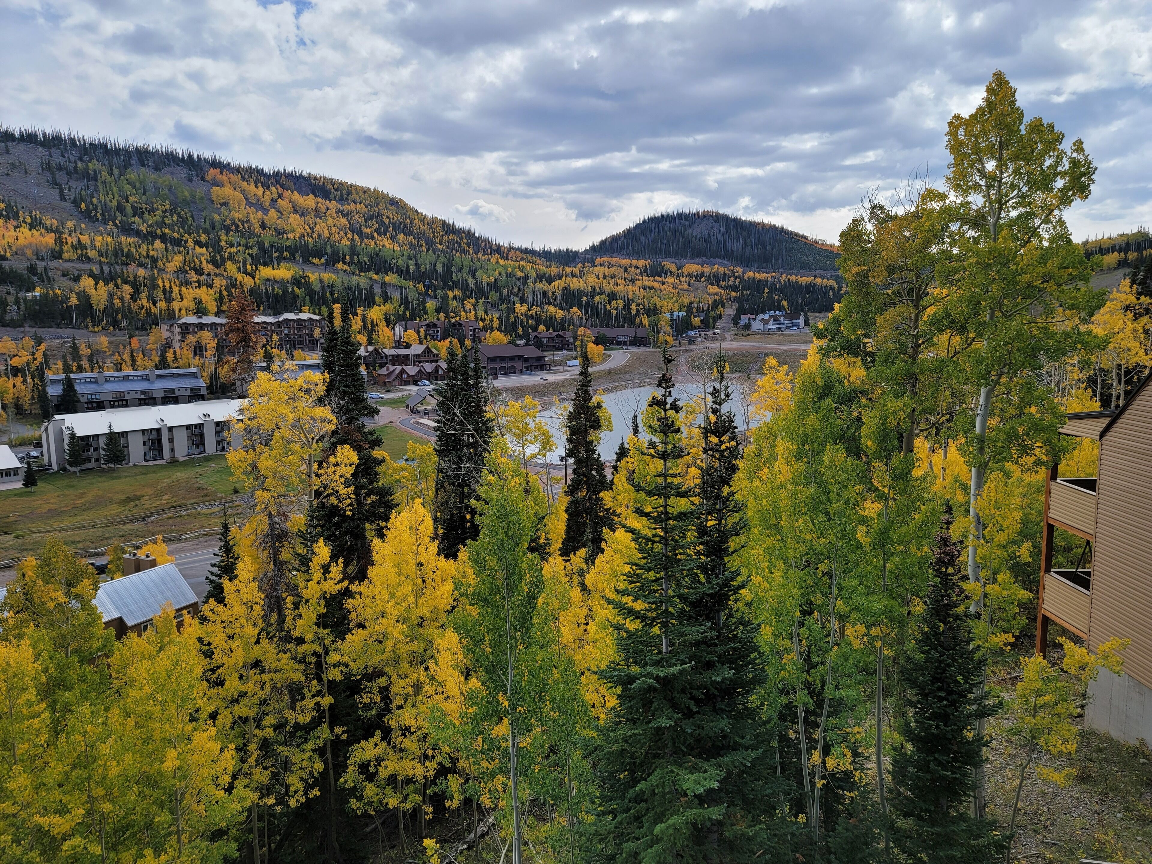 A view of a town with buildings and a river, surrounded by autumn-colored trees.