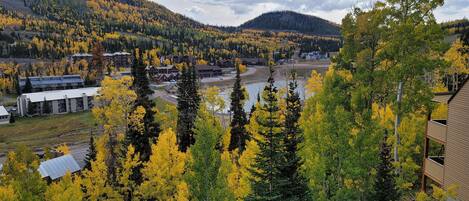 A view of a town with buildings and a river, surrounded by autumn-colored trees.