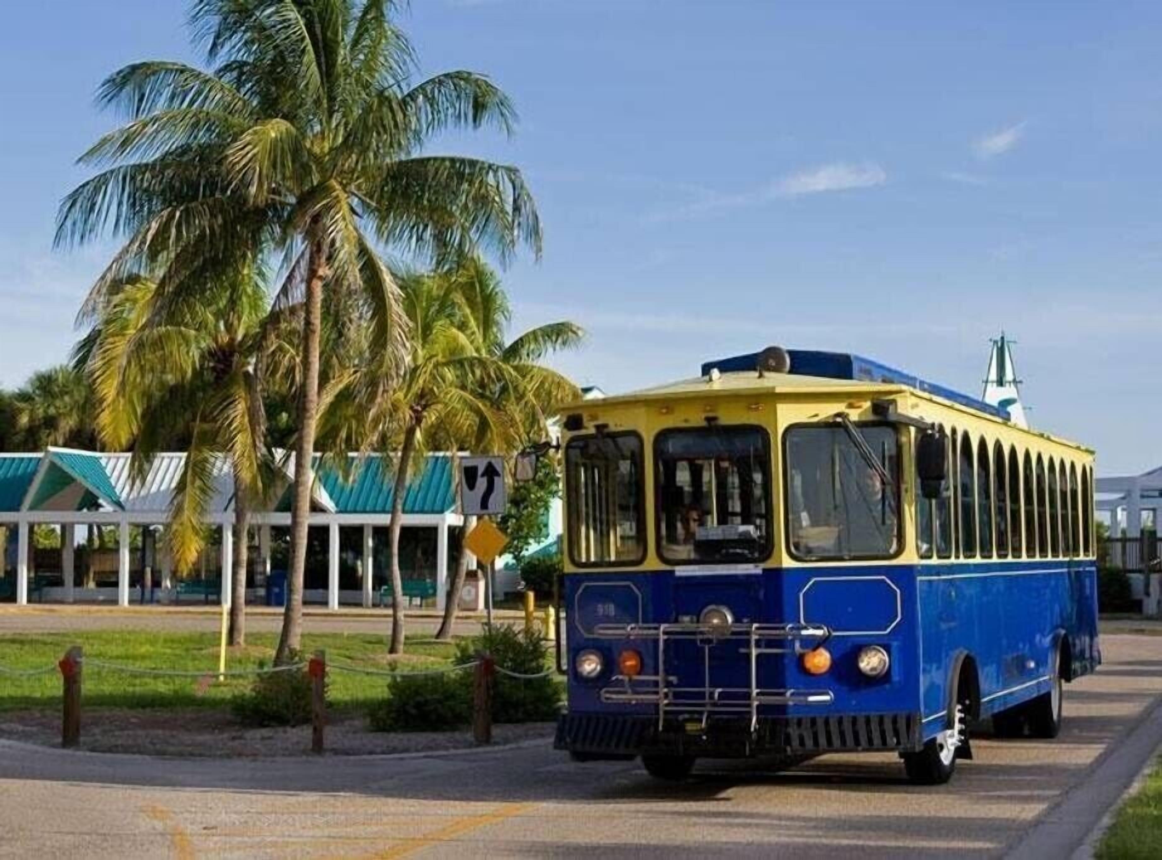 Un autobús azul y amarillo antiguo estacionado en una zona pavimentada, con palmeras y un edificio al fondo.