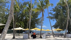 Ein Strand mit Palmen, gelben Sonnenschirmen und Picknicktischen.