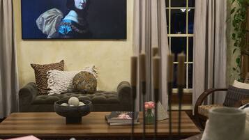 Smart TV, fireplace, DVD player, books