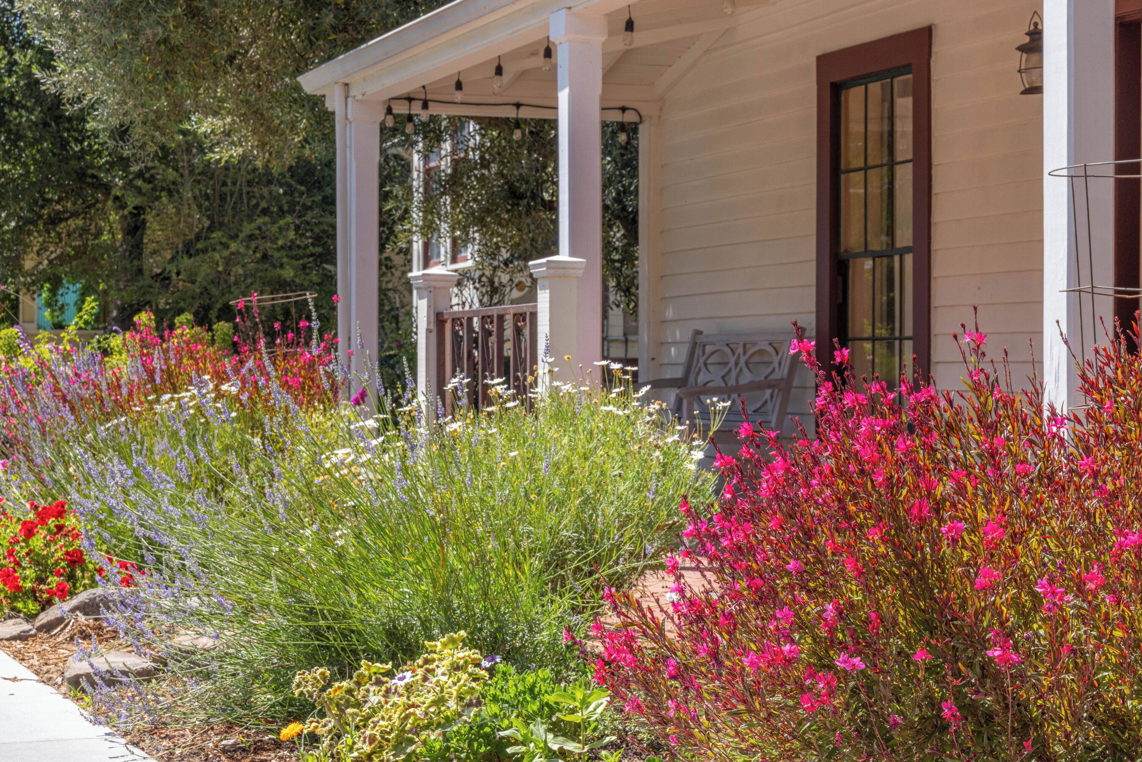 Jardines del alojamiento