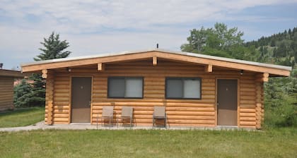 Cute 2/1 Cabin With Full Kitchen And Teton Views