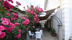 A courtyard with white wicker chairs and tables, surrounded by pink roses and potted plants. - Rose Garden Hotel (Shkodër)