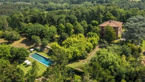 A house surrounded by dense forest with a swimming pool and outdoor seating.