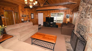 Smart TV, fireplace, books, stereo