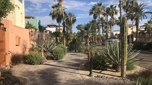 A paved pathway leading through a courtyard with palm trees and cacti, surrounded by buildings with Mediterranean-style architecture.