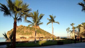 A coastal area with palm trees, a beach, and a mountain in the background.