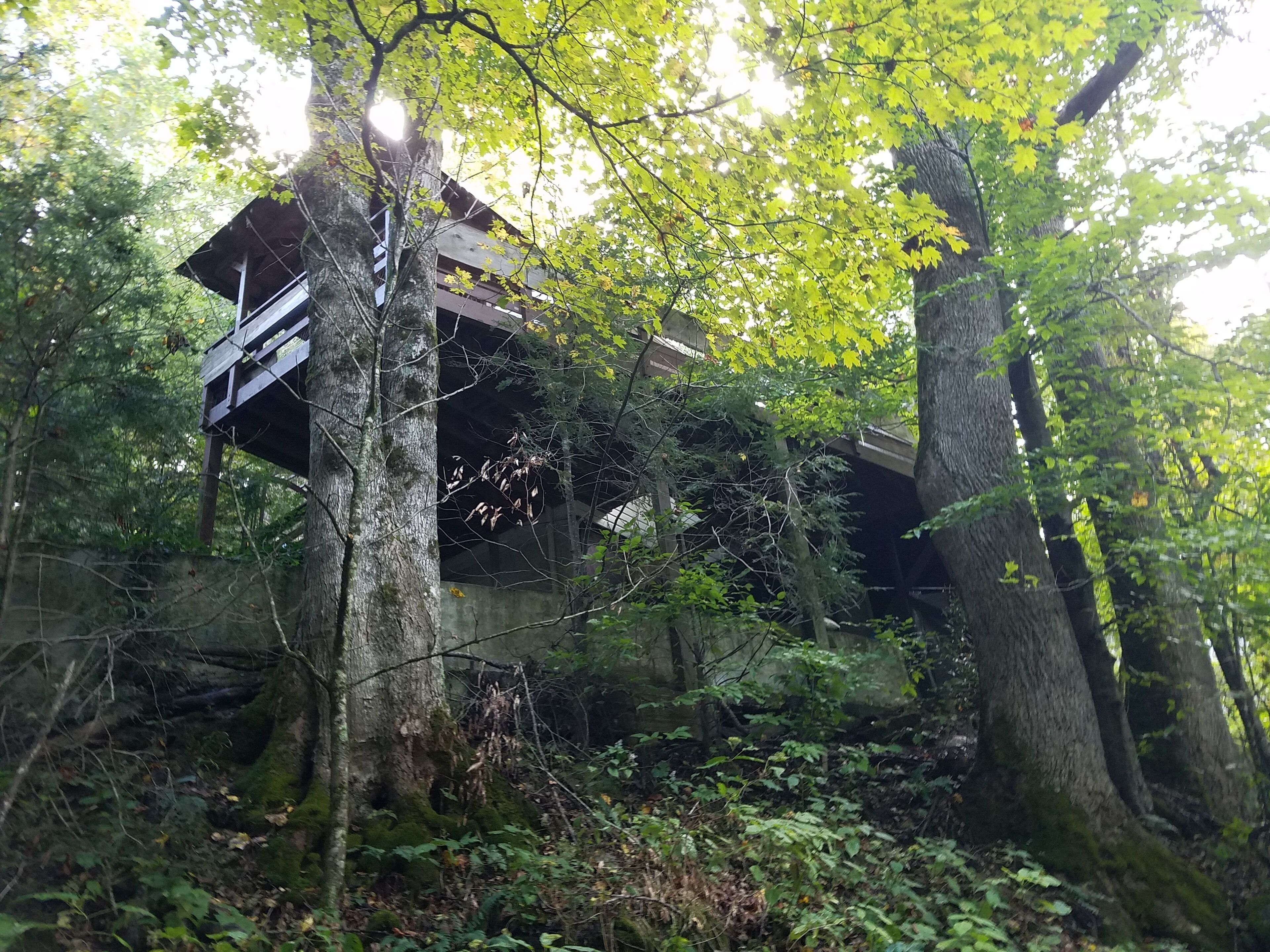 Una cabaña rústica con terraza de madera, rodeada de un bosque denso.