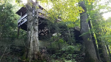 Un chalet rustique doté d’une terrasse en bois, entouré d’une forêt dense.