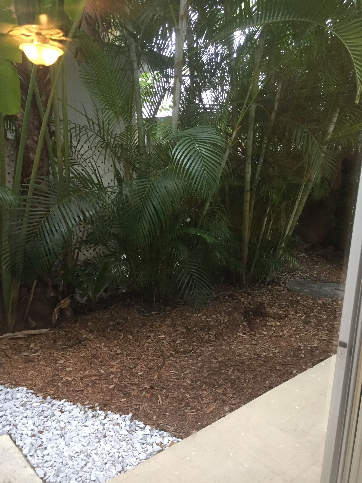 Photo 10 of Romance on 3rd St South Old Naples