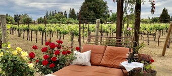 Poolside Suite with a private rose garden next to the vineyard and private entry