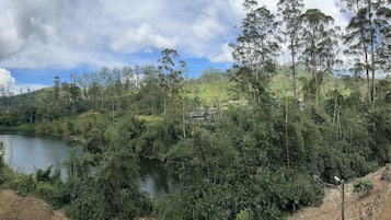 A lush green landscape with a river, dense trees, and a hilly backdrop.