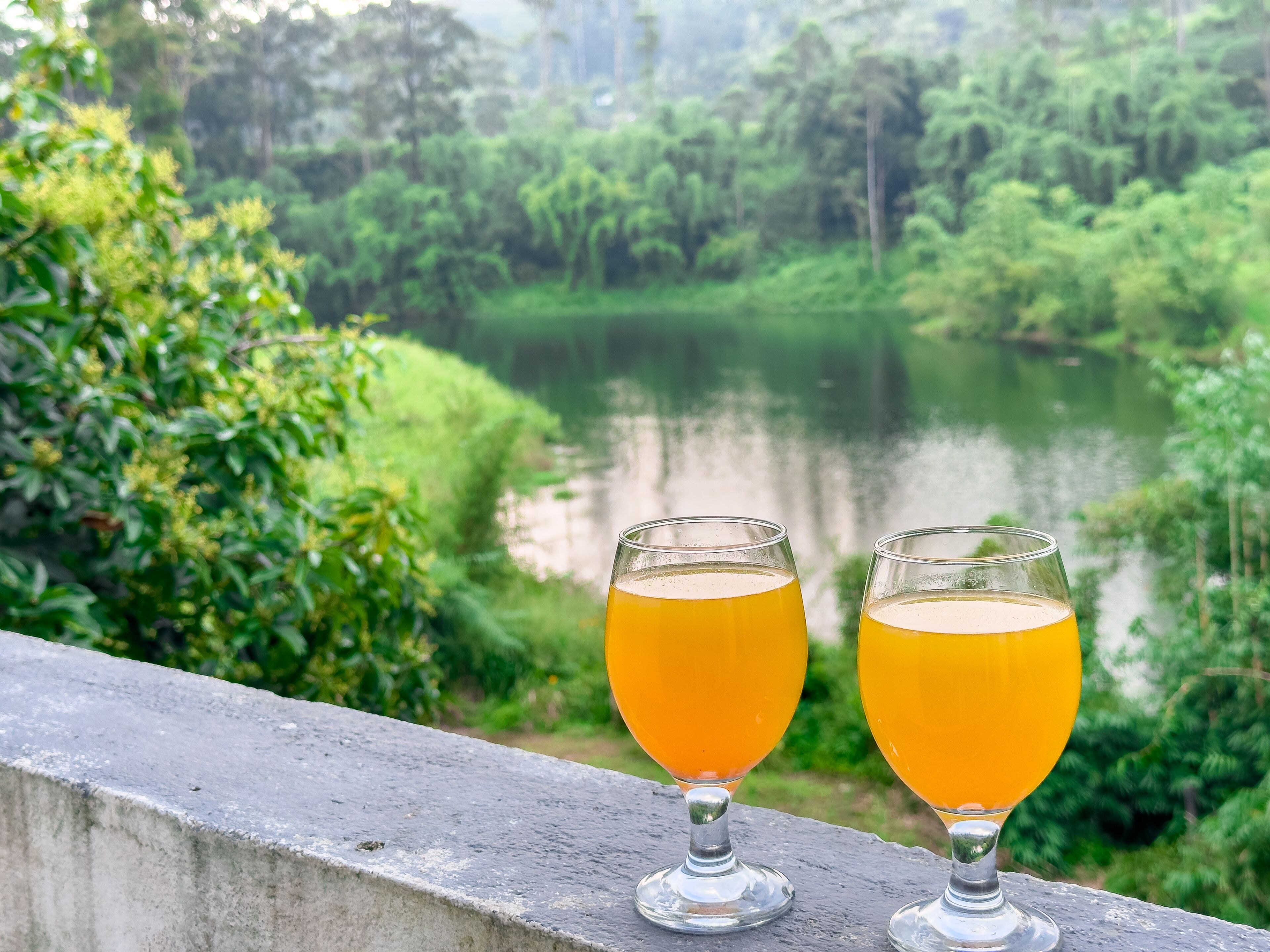 Two glasses of orange juice on a concrete ledge with a view of a river and greenery.