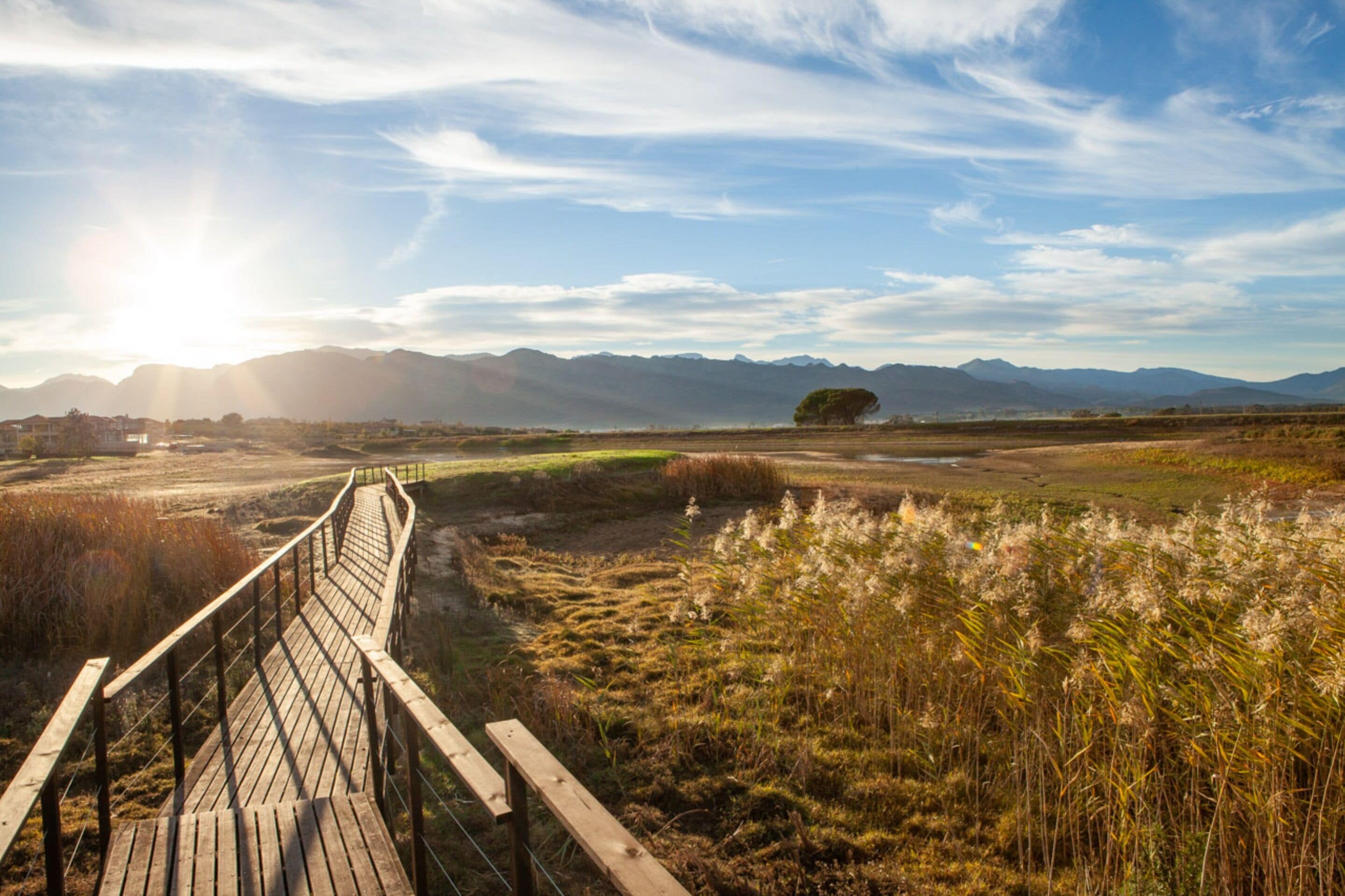 Une promenade en bois qui traverse un paysage naturel, avec des montagnes en arrière-plan.