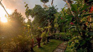 A garden pathway with potted plants and a variety of greenery. - Ubud Wins Bungalow (Ubud)