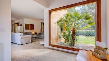 Télévision, lecteur de DVD, table de tennis de table