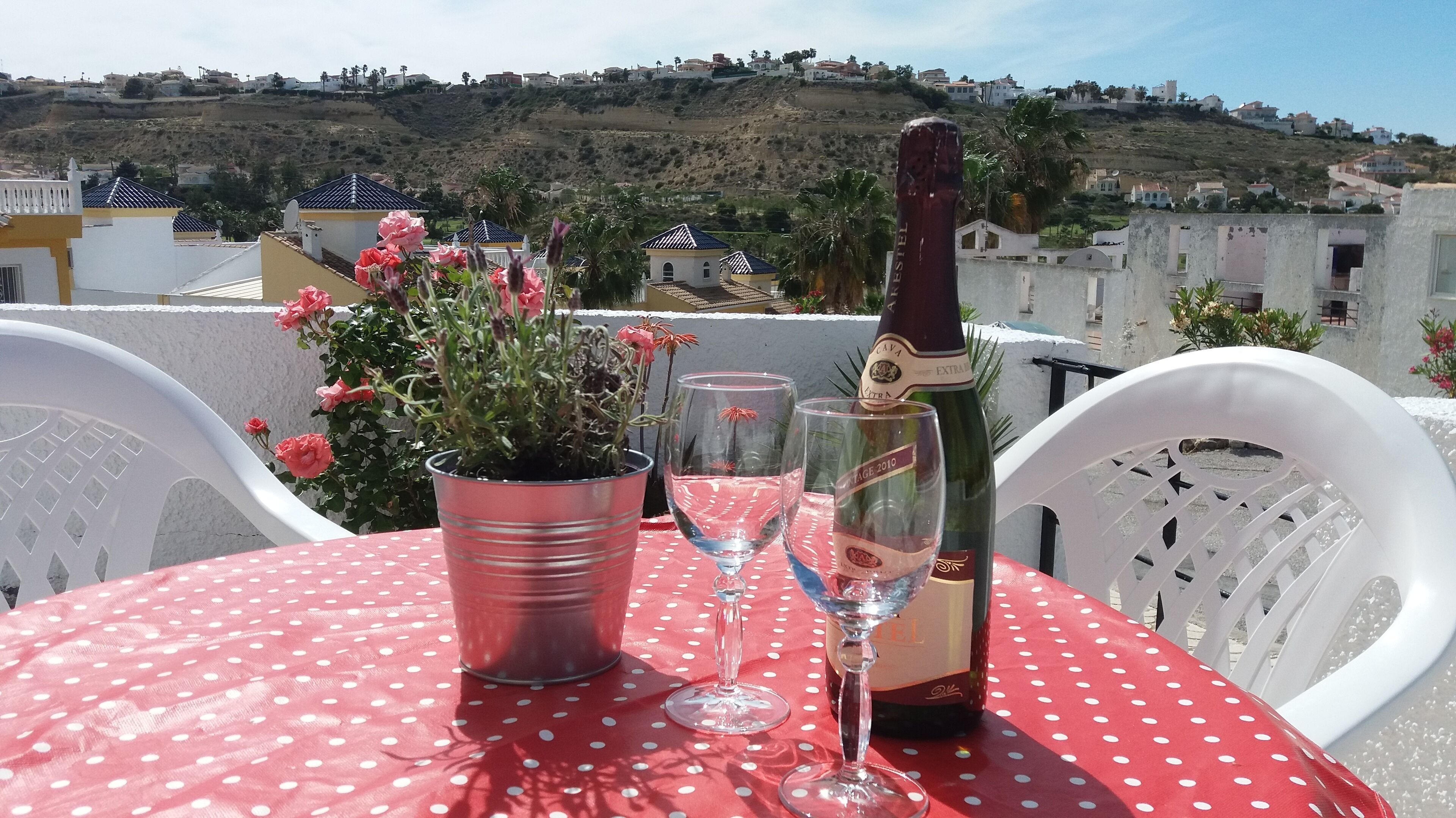 A table with a red polka dot tablecloth, two wine glasses, a bottle of wine, and a potted plant with pink flowers.