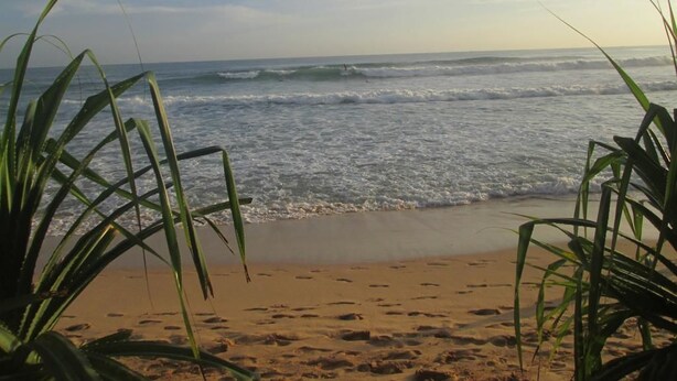 A beach with waves, sand, and green plants. - Nethu freedom cottage (Ahangama)
