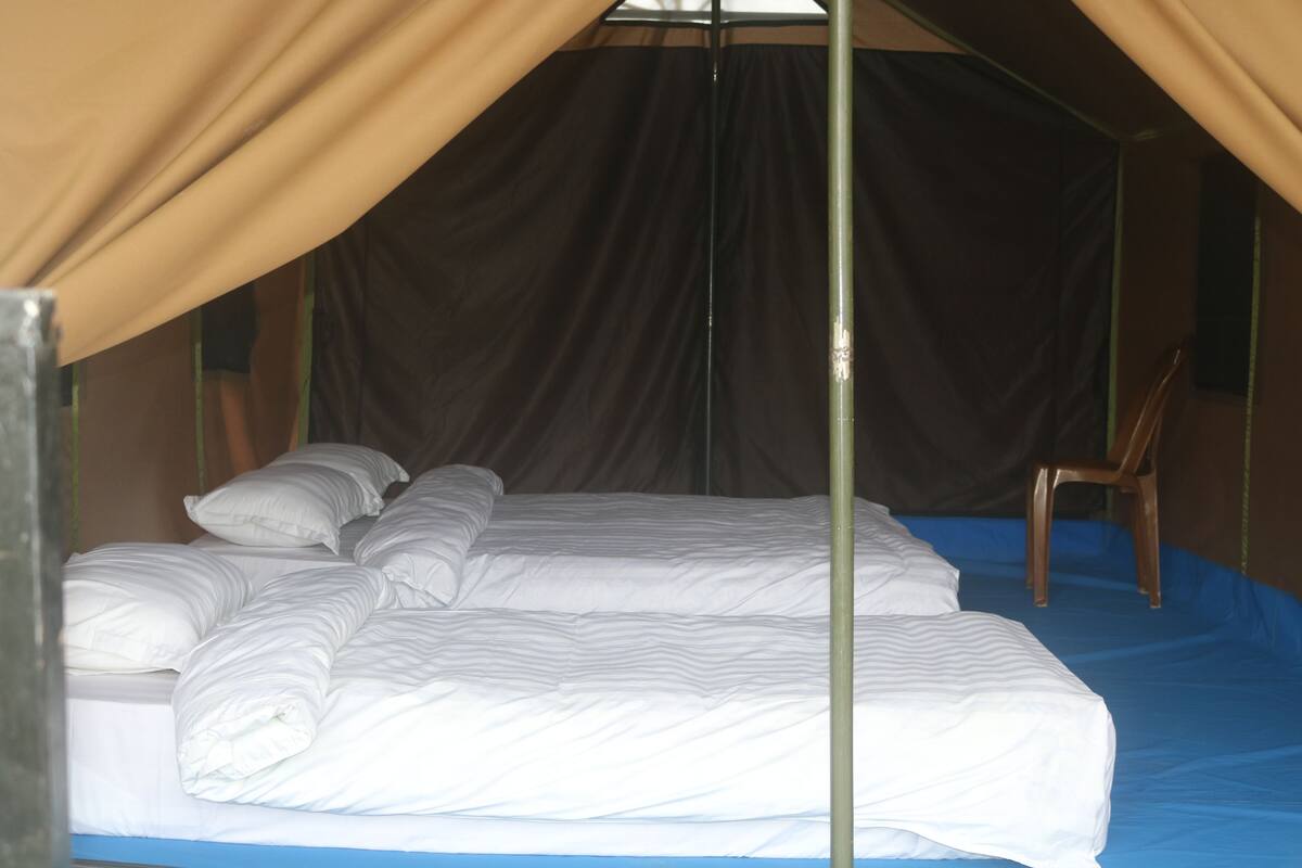 A tent with a bed, pillows, and a chair.