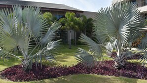 A courtyard with palm trees, a lawn, and a building with a tiled roof. - Eco Life Porto De Galinhas (Ipojuca)