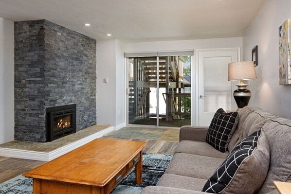 Fireplace, video library, stereo