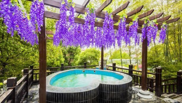 Ein Whirlpoolbereich mit einer Holzpergola und hängenden violetten Blüten.