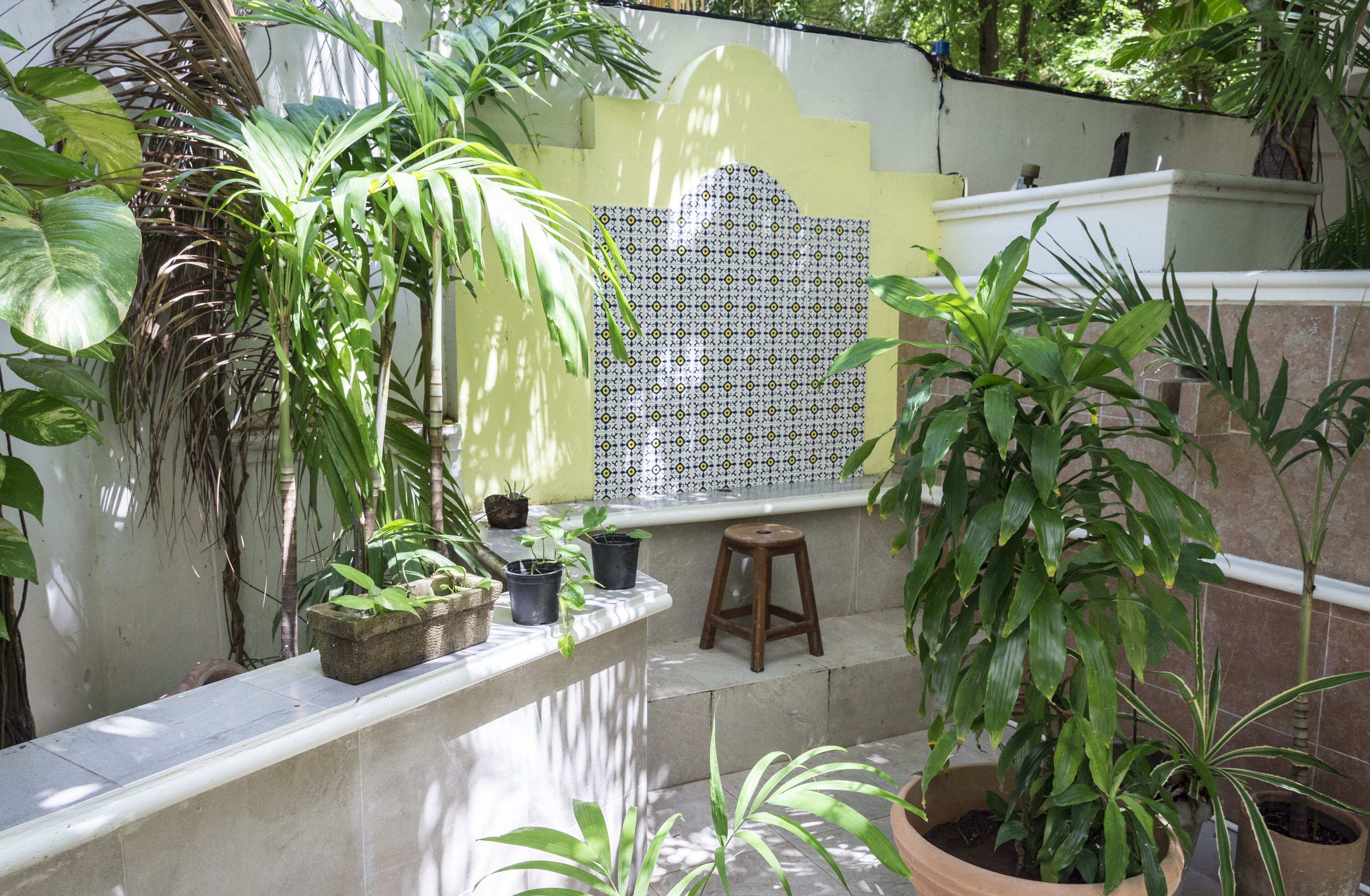 Área da propriedade