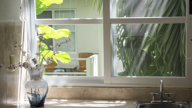 Een keuken met een spoelbak en een vaas met bloemen op het aanrecht.