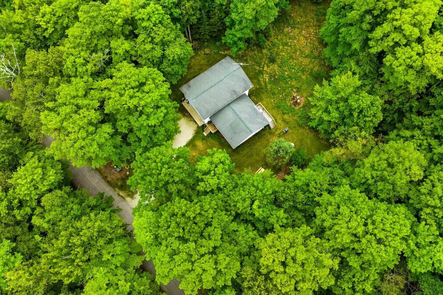 Vista aérea de una casa rodeada de abundante follaje verde.