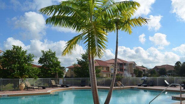 A swimming pool with palm trees, lounge chairs, and a fenced area. - Fort Myers Luxury Vacation Condo (Fort Myers)
