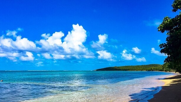 Une plage à l’eau turquoise et limpide, un rivage sablonneux et une colline verdoyante à l’horizon.