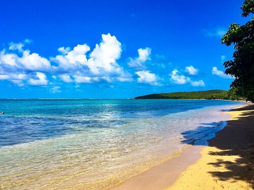 Newly Renovated! Most Amazing Ocean Views! Corner & Private, House-sized Condo!