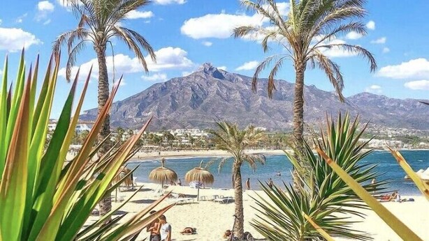 Une plage bordée de palmiers, une montagne en arrière-plan et un ciel dégagé.