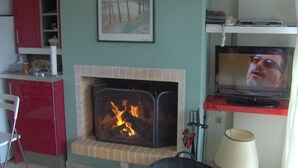 Ein Wohnzimmer mit Kamin, Fernseher und Bücherregal.