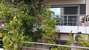 Ein Balkon mit Metallgeländer, umgeben von verschiedenen Pflanzen und Blumen.