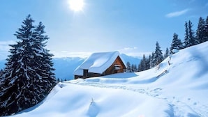 Ulkopuoli