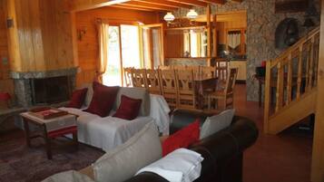 TV, fireplace, DVD player, books