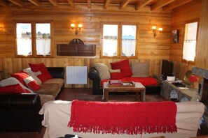 TV, fireplace, DVD player, books