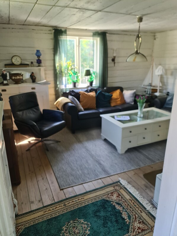 Smart TV, chimenea, reproductor de DVD y libros 