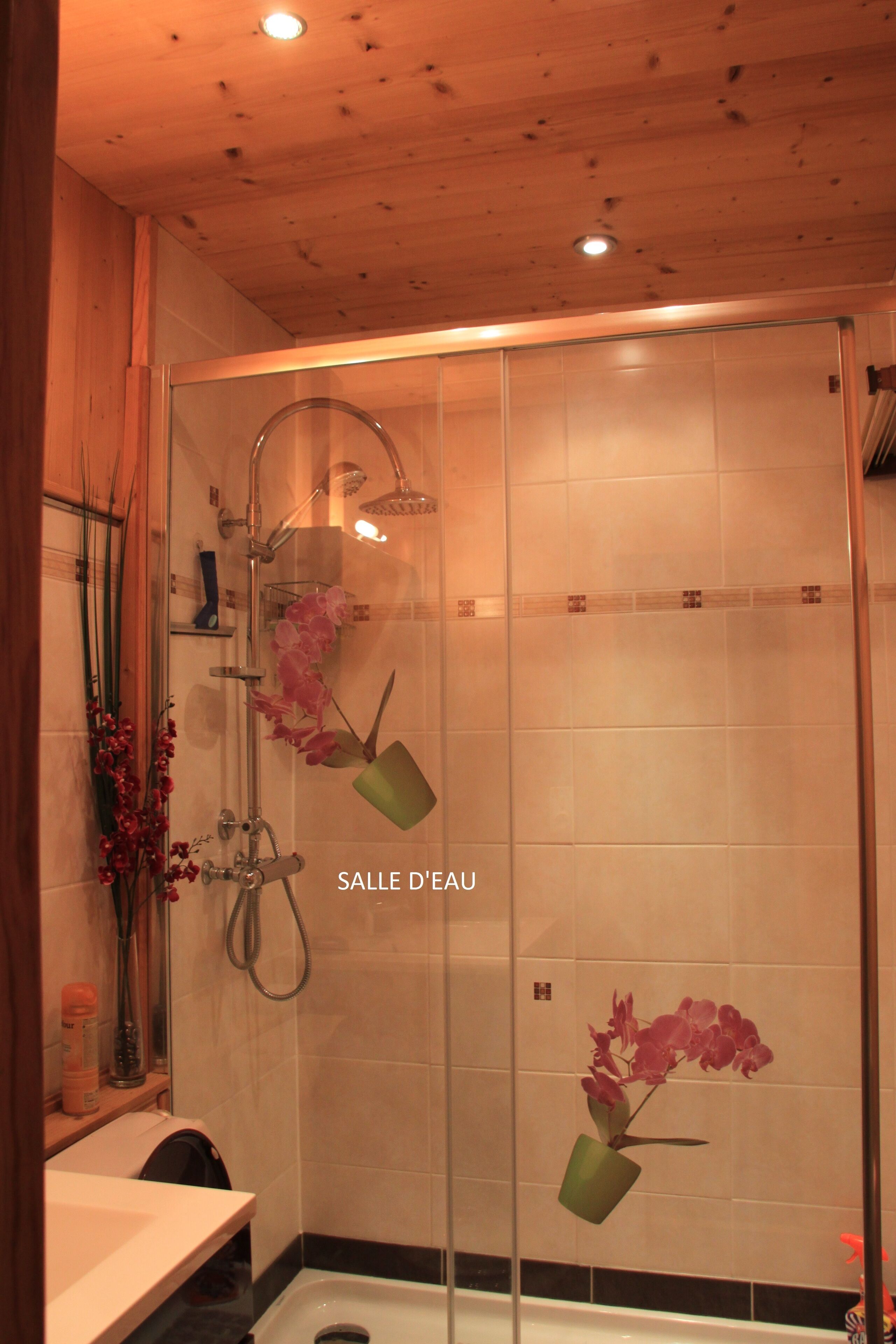 Douche, sèche-cheveux, savon, papier toilette