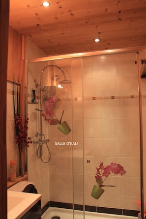 Shower, hair dryer, soap, toilet paper