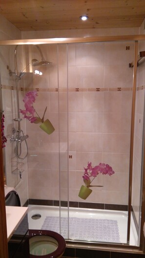 Dusche, Haartrockner, Seife, Toilettenpapier