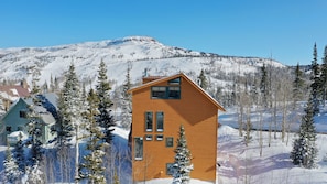 Exterior - Ski In/Out cabin with best panoramic views in Brian Head. Pets Welcome! (Brian Head)