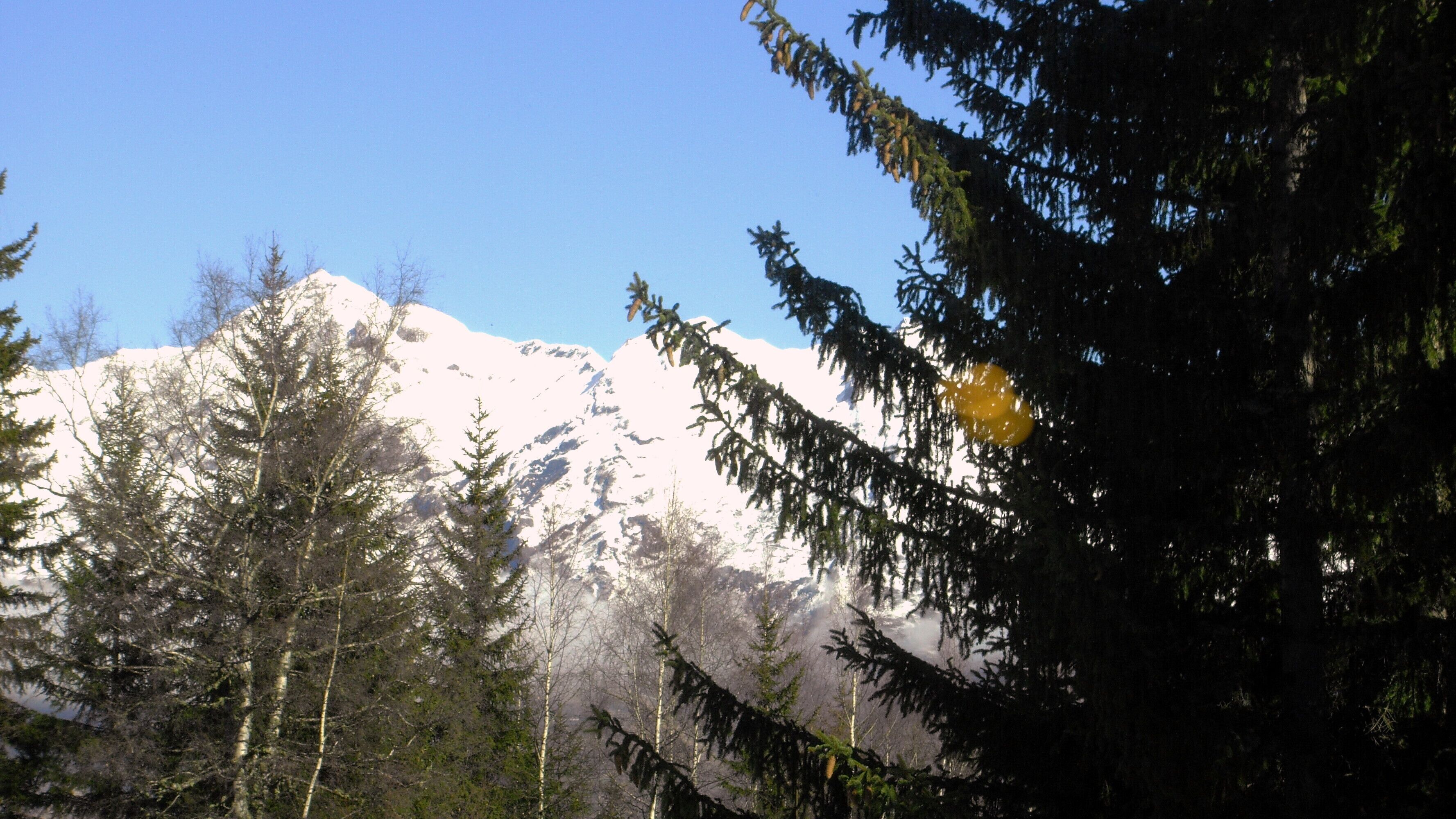 A mountain with snow-covered peaks, surrounded by evergreen trees.
