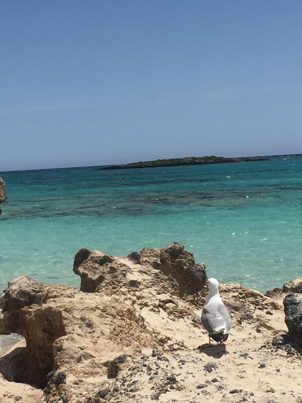 Beach nearby