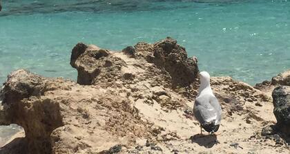 Nice villa for 1 to 4 people, sea and mountain view, private pool