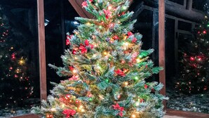 Een kerstboom met lichtjes en decoraties in een gebouw met houten balken en grote ramen.